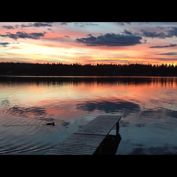 Meet your Posher, Madi - Picture 1 of 1